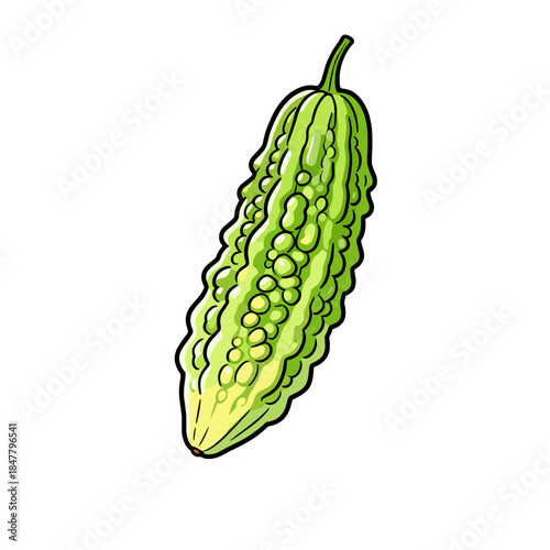 [Vector EPS]Green bitter gourd with bumpy surface and unique shape