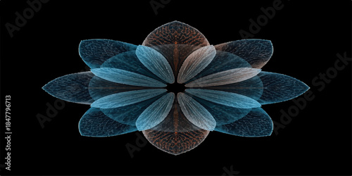 A vibrant purple orchid blossom displays intricate patterns and natural beauty in this macro close-up, featuring delicate petals and green leaves that create a stunning floral design for any garden