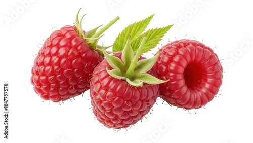 Photos Three ripe raspberries PNG isolated on transparent background, delicious red fru