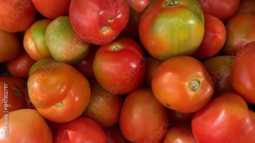 Fresh Tomatoes - Ripe and Ready