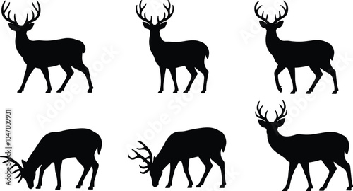 Deer silhouettes, antlered wildlife poses, grazing and standing stances, forest animal behavior, flat vector illustration, cad drawing, stock asset, nature theme