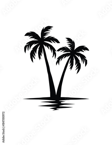 silhouette of palm trees black