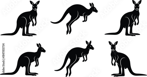 Kangaroo silhouettes set showing jumping and standing poses, Australian wildlife animal figures collection isolated on white background
