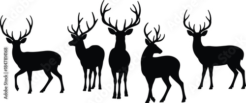 Male deer silhouette set, antlered buck poses, wildlife icon, black vector, flat CAD drawing, forest animal illustration