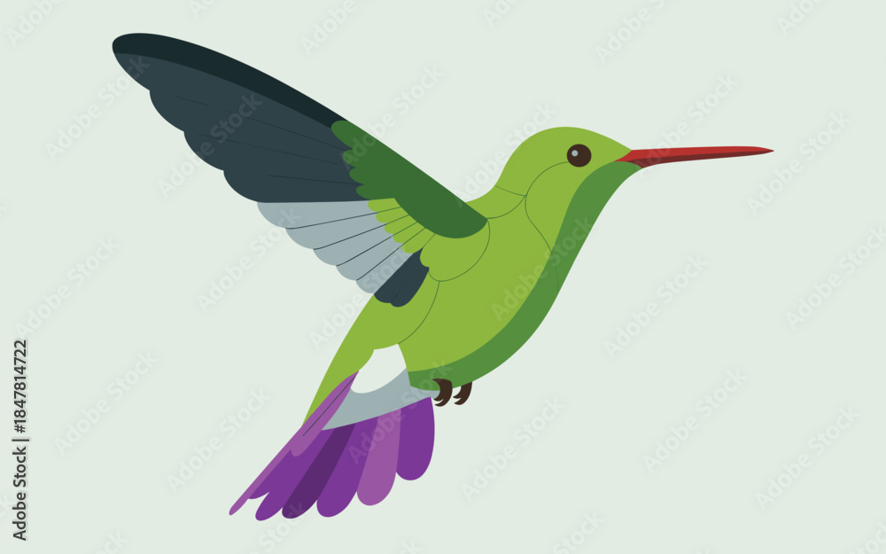 Obraz premium Green Hummingbird Vector Illustration With Purple Tail Wings Flying On Light Background