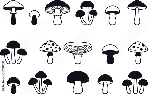 Mushroom silhouette vector set, fungal species icons, nature biology symbols, flat cad drawing, editable outline, isolated graphic collection