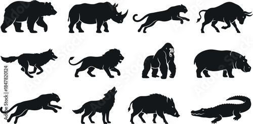 Wild animal silhouettes, bear lion wolf crocodile cheetah boar panther poses, flat vector illustration, cad drawing, stock asset, wildlife theme