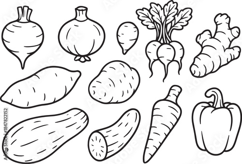 Root Vegetable Variety Bundle 3D.eps