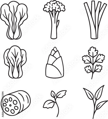 Asian Greens and Stems Bundle.eps