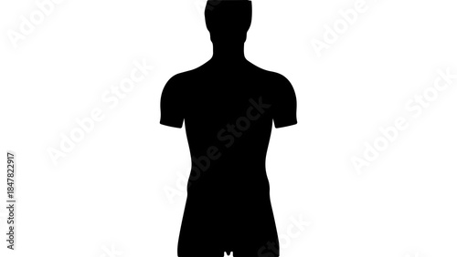 Male torso silhouette with transparent background