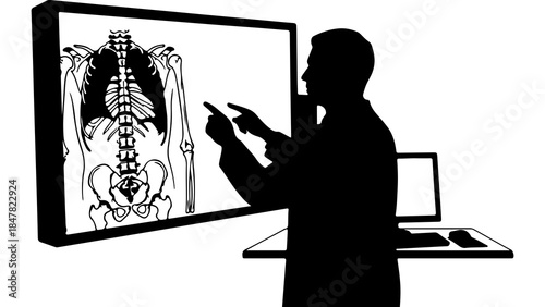 Doctor examining x-ray with transparent background