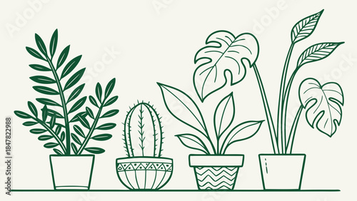 vector illustration of a plant