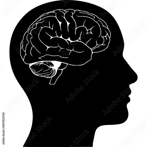 Human head silhouette with brain with transparent background