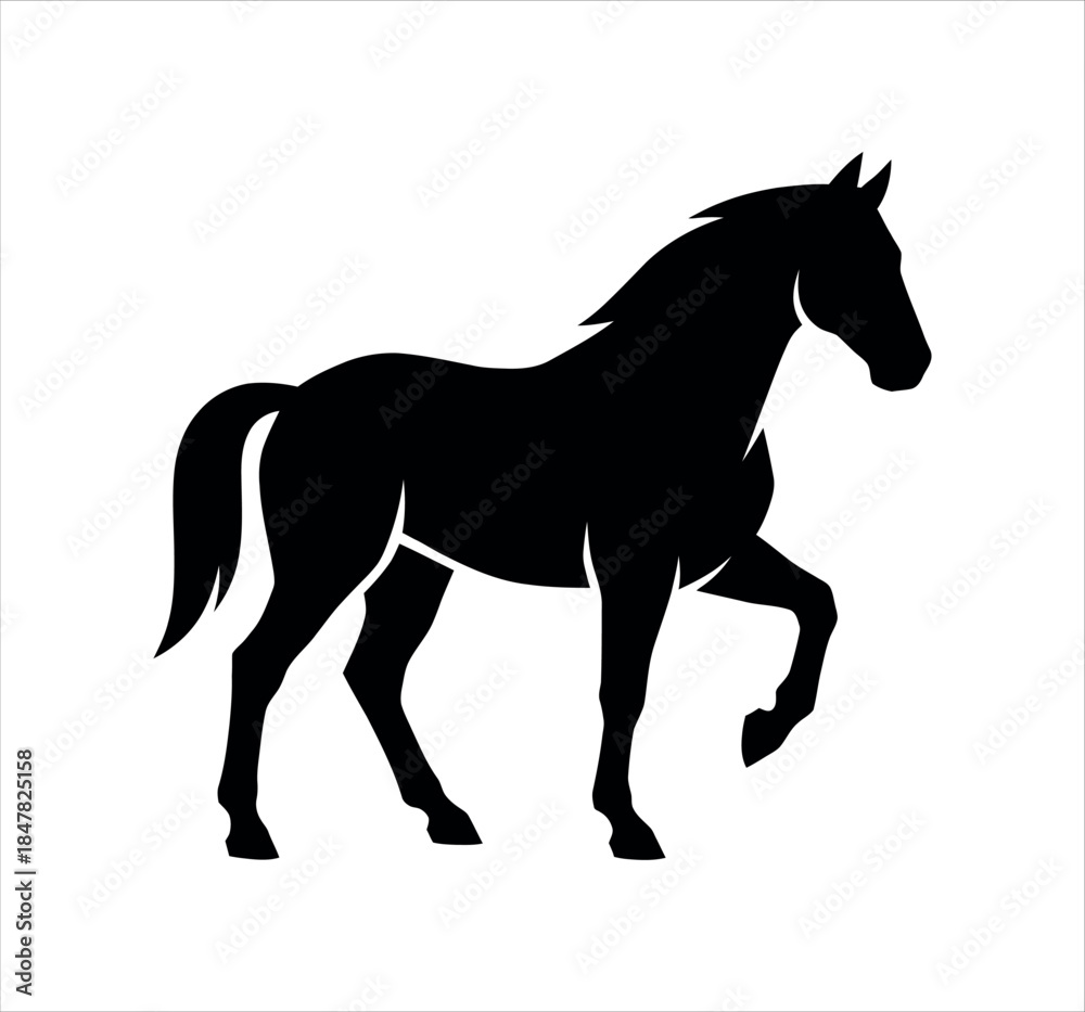 Obraz premium Elegant black horse silhouette vector illustration on white background