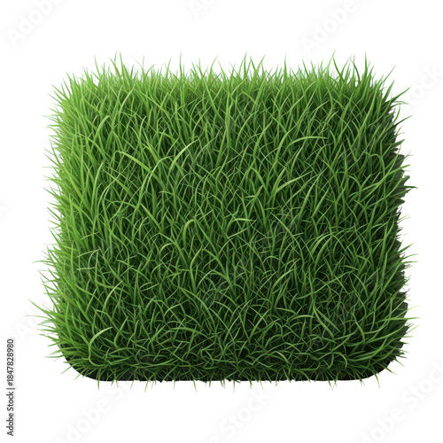 A square patch of lush green grass isolated on transparent background
