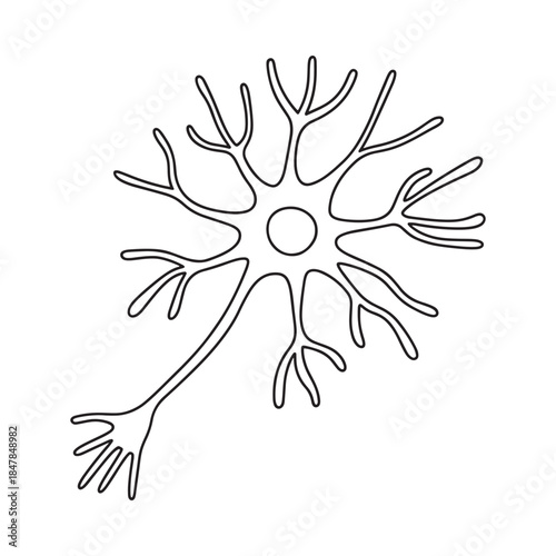 Detailed illustration of a neuron with branching dendrites and a central cell body