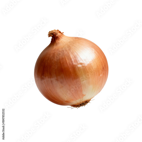Wallpaper Mural [Transparent Background PNG]A fresh brown onion with its outer skin visible Torontodigital.ca