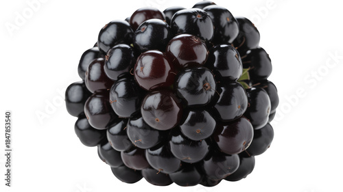 Fresh blackberry on a white  background