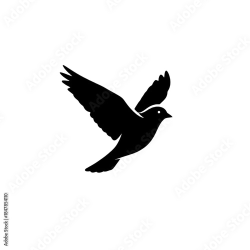 Elegant bird in flight with outstretched wings on black