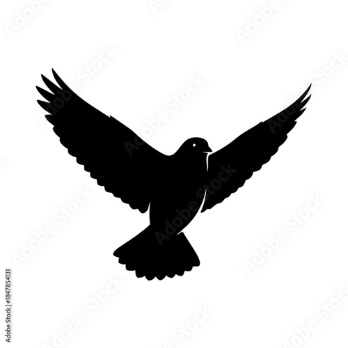 Bird in flight with outstretched wings on black background