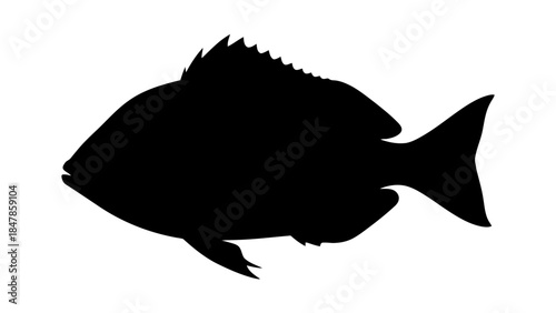 Silhouette of a fish