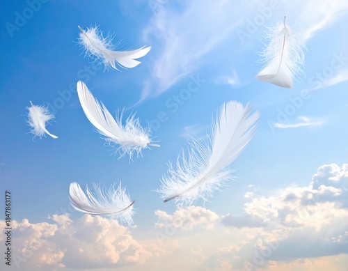 Minimal scene of white feathers gliding through space emphasizing gentle airflow freedom and peaceful visual rhythm