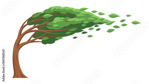 Tree with leaves blowing in the wind