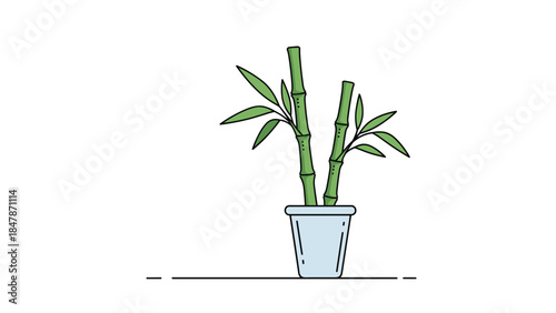 Potted green bamboo plant vector illustration