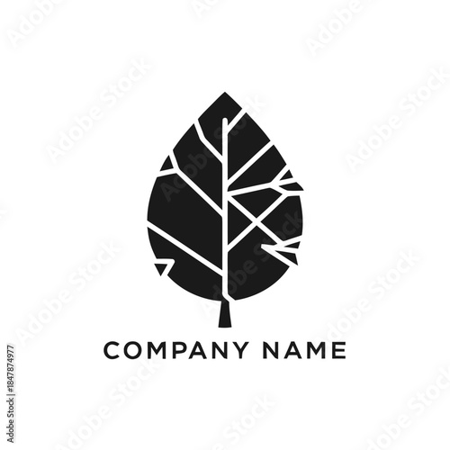 Minimalist black leaf logo with abstract vein pattern and company name.