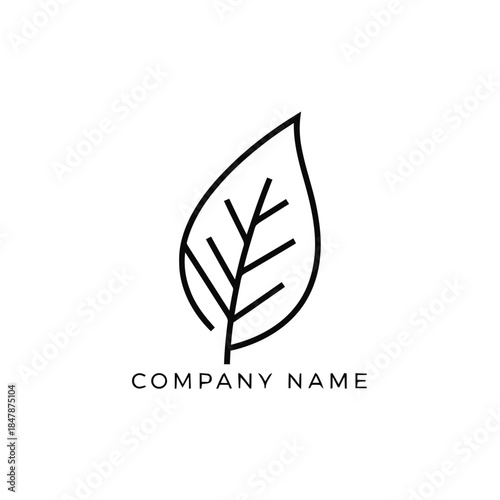 Minimalist Leaf Logo Design for Company Branding.