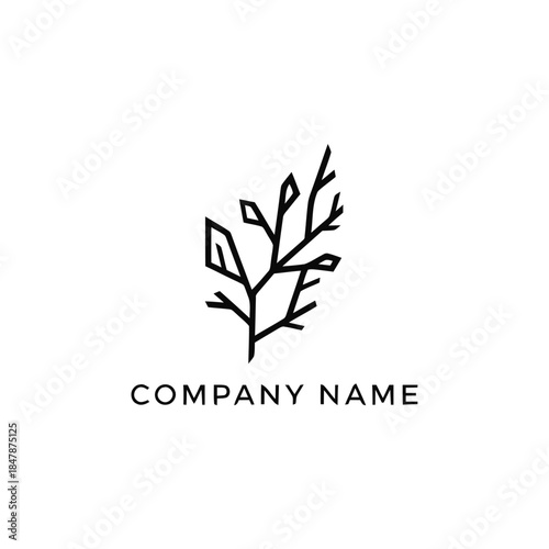 Minimalist Line Art Branch Logo Design with Geometric Leaves.