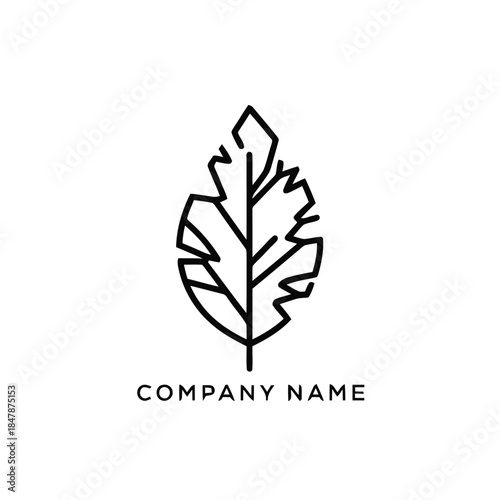 Minimalist Line Art Leaf Logo Design Concept.