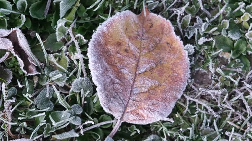 close up focus on frozen leaf laying on ground, rotation camera movement