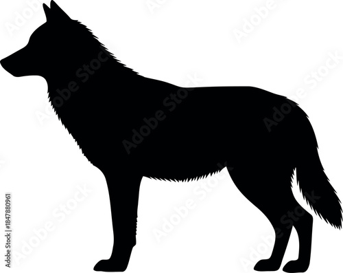 German Shepherd Dog Silhouette Vector Isolated on White Background