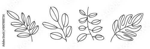 Collection of minimalist botanical line drawings featuring elegant branches with oval leaves, perfect for natural themes and organic branding applications.