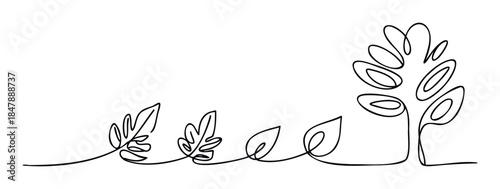 Continuous line drawing of growing leaves transforming into a tree symbolizing growth and nature progression used for organic themes and environmental concepts.