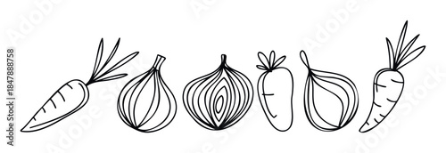 Hand drawn vegetables with outline style, featuring carrots and onions, perfect for healthy food projects and farmtotable themes.