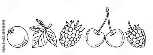 Collection of hand drawn berry outlines including a blueberry, leaves, raspberry, and cherries perfect for use in recipes, healthy eating concepts, or food related projects