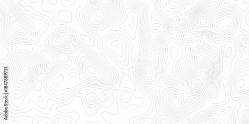 White wave paper curved reliefs abstract background, Abstract topographic contours map background. Black and white lines seamless Topographic map patterns, topography line map.