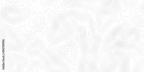 White wave paper curved reliefs abstract background, Abstract topographic contours map background. Black and white lines seamless Topographic map patterns, topography line map.