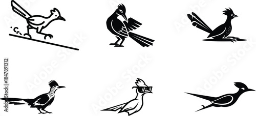 Digital download of roadrunner bird svgs for cricut machines including running and standing poses for craft project ideas.