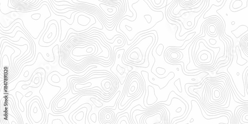 White wave paper curved reliefs abstract background, Abstract topographic contours map background. Black and white lines seamless Topographic map patterns, topography line map.