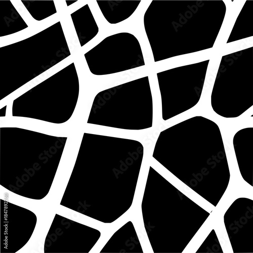 Abstract Organic Network Pattern Black and White Background Design