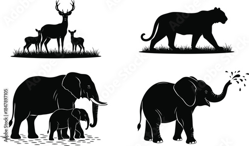 Black silhouette collection of wild animals, deer family standing in grass, tiger walking, elephant with calf, and playful elephant spraying water, vector illustration set