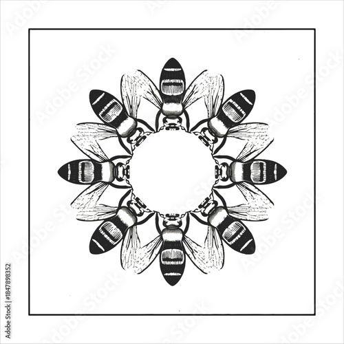 BEES VECTOR ART LOGO DESIGN BLACK AND WHITE