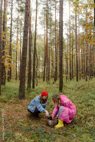 Photography Two friends crouch on the forest floor, gathering mushrooms in a basket