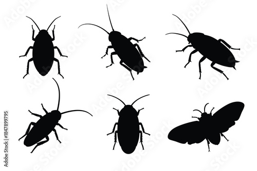 Set of Realistic Cockroach and Moth Silhouettes