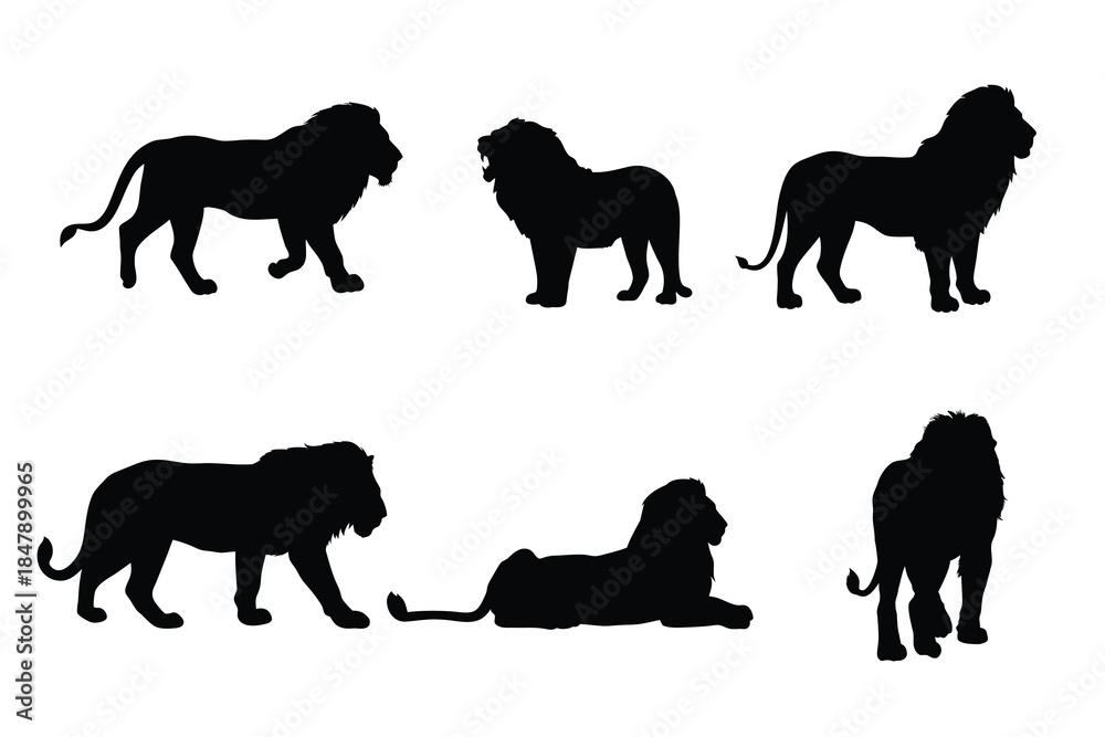 Obraz premium Set of Majestic Male Lion Silhouettes in Various Poses