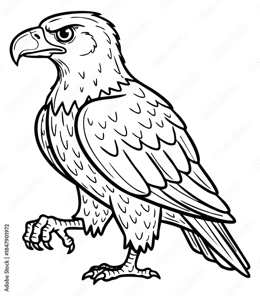 Fototapeta premium Eagle bird illustration in black and white line art