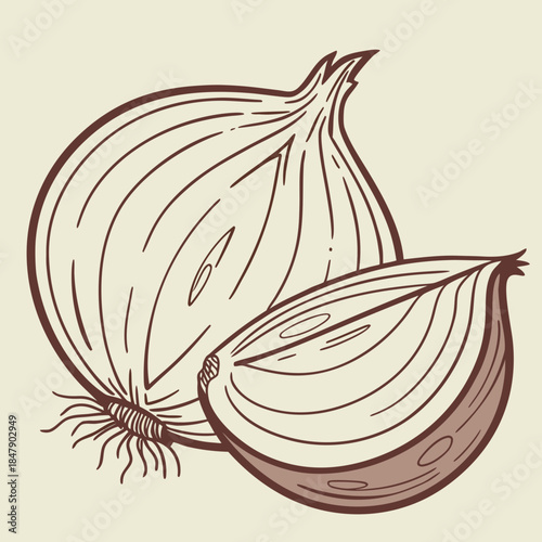 Brown line of whole and halved onion line vegetable